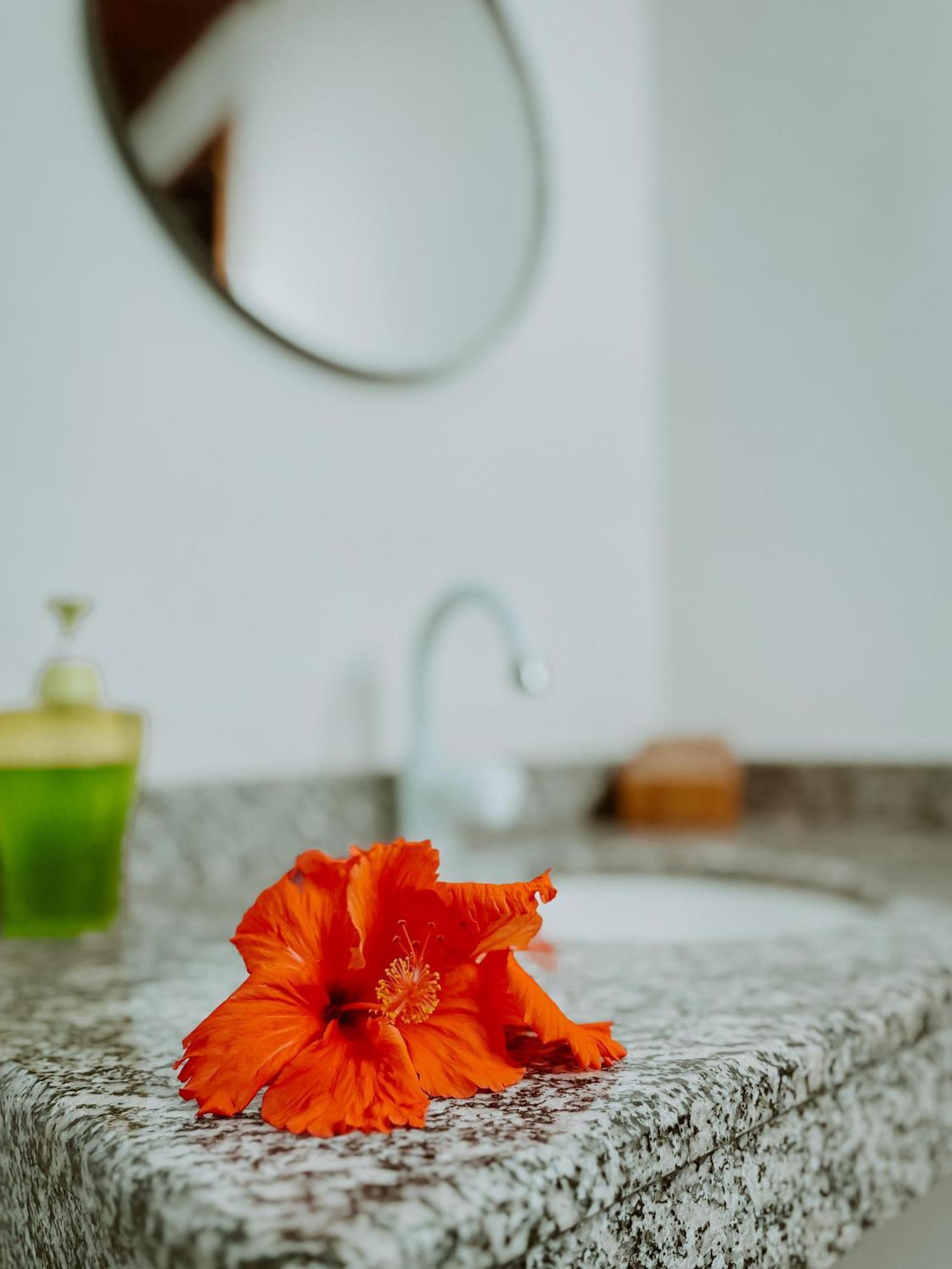 Guedes Residence Velha Boipeba ภายนอก รูปภาพ